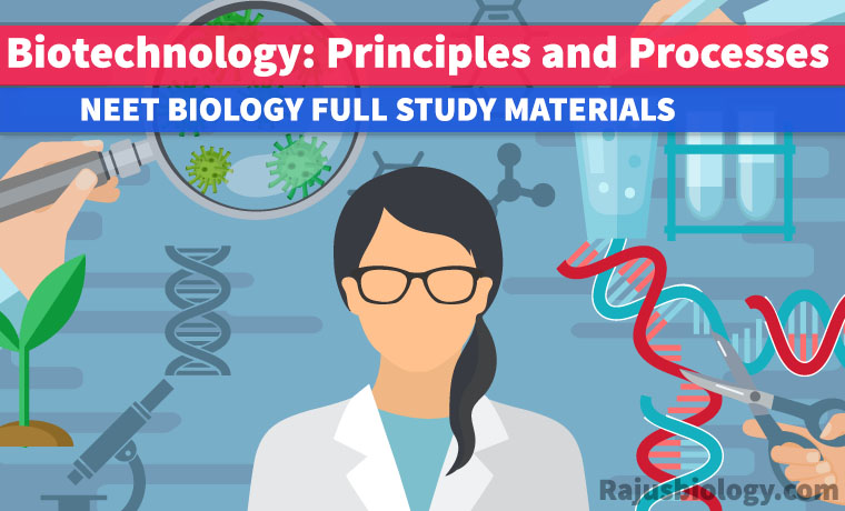 Biotechnology Principles And Processes Class 12 Neet Notes - Rajus Biology