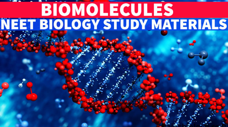 Biomolecules NEET Biology Study Material Download