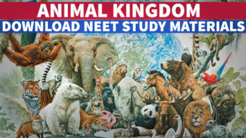 [PDF] Animal Kingdom NEET Biology Study Material Download - Rajus Biology