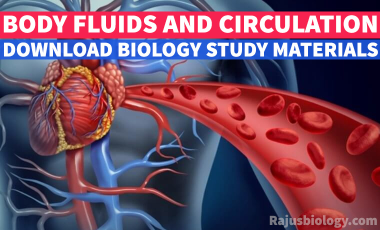 PDF Body Fluids and Circulation Study Material Download