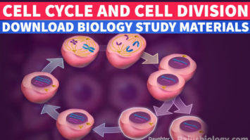 PDF Cell Cycle and Cell Division Study Material Download