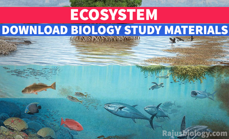 PDF Ecosystem NEET Biology Study Material Download