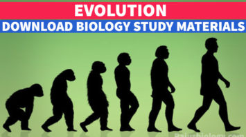 PDF Evolution NEET Biology Study Material Download