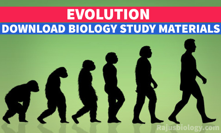PDF Evolution NEET Biology Study Material Download