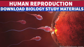 [PDF] Human Reproduction Biology Study Material Download - Rajus Biology