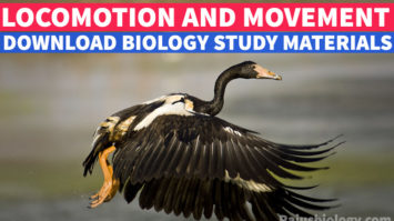 PDF Locomotion and Movement Study Material Download