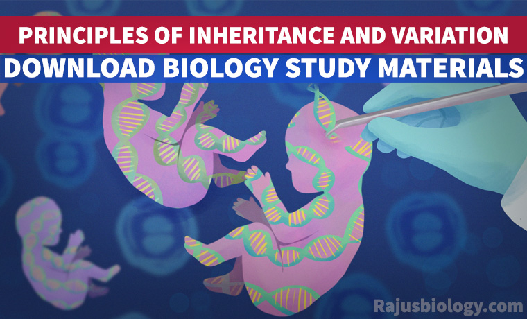 PDF Principles of Inheritance and Variation NEET Biology Study Material