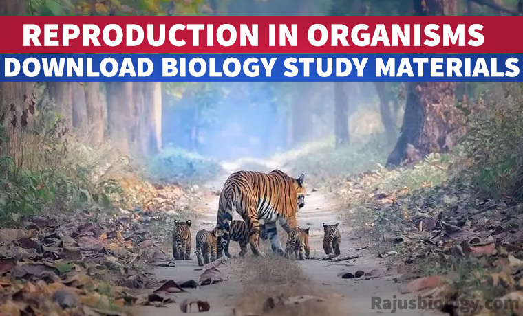 PDF Reproduction in Organisms NEET Biology Study Material