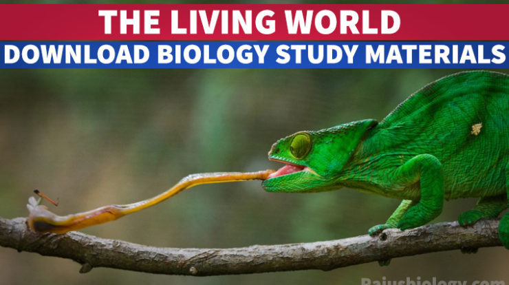 PDF The Living World NEET Biology Study Material