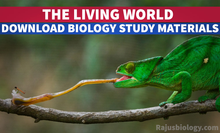 PDF The Living World NEET Biology Study Material