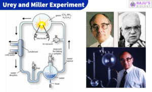 what was the goal of the urey miller experiment