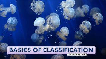 6 Basis of Classification of Animal Kingdom | Free Biology Notes