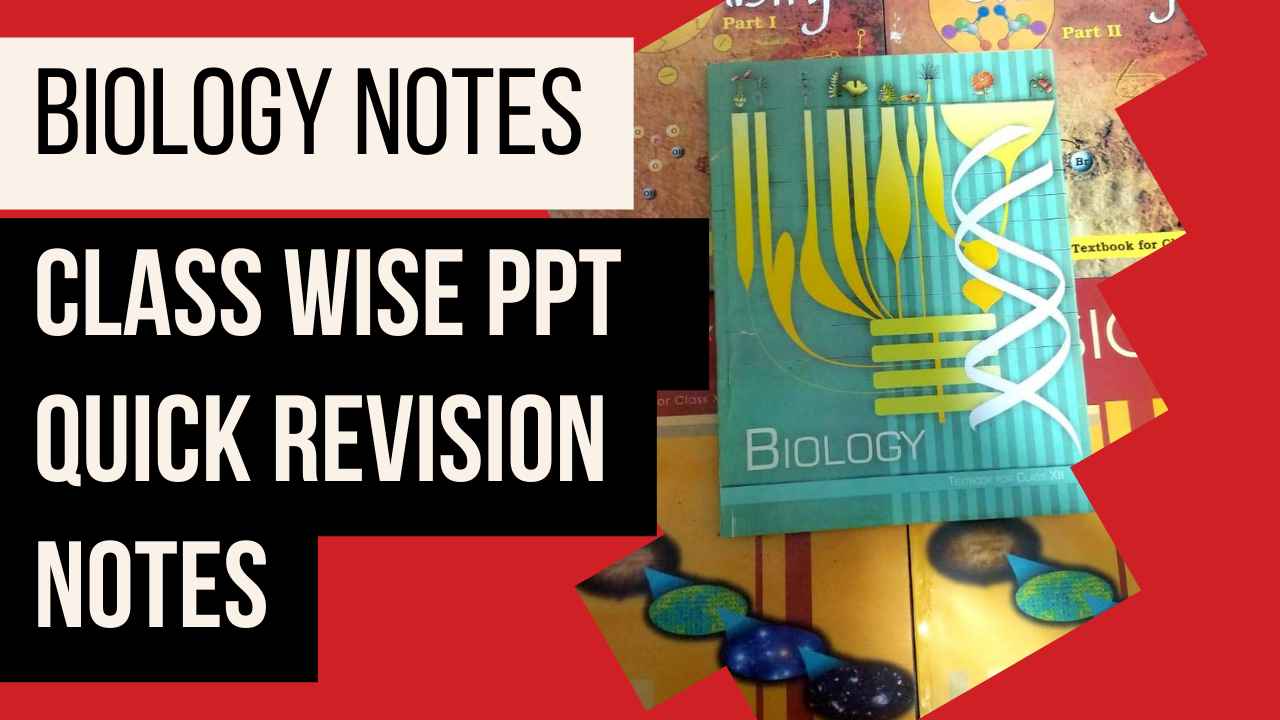 Biology Study Notes PPT