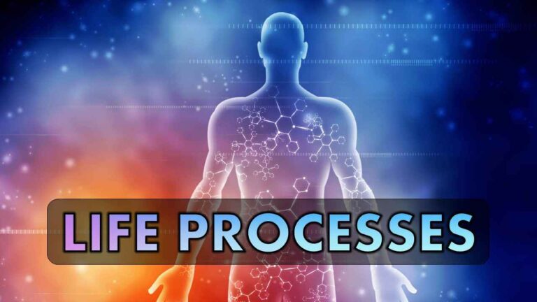 Life processes Class 10 Notes