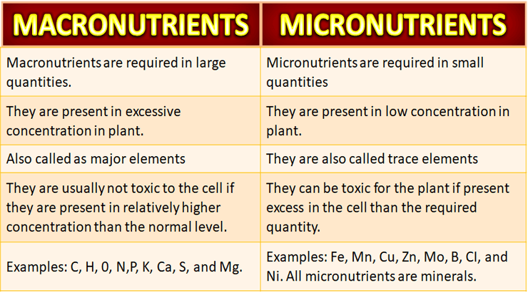 Difference Between Macronutrients and Micronutrients Free Biology Notes