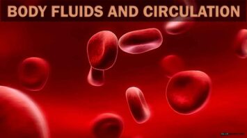 Body Fluids and Circulation Class 11 Notes