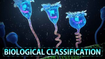 [PPT] Biological Classification Class 11 Notes - Rajus Biology