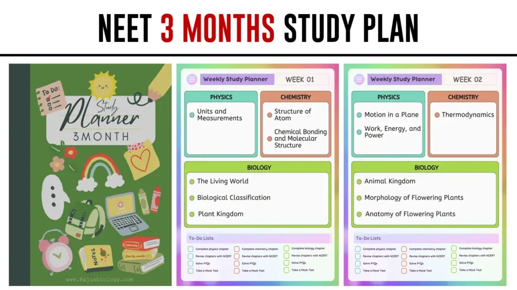 Download 3 Months NEET Study Plan PDF