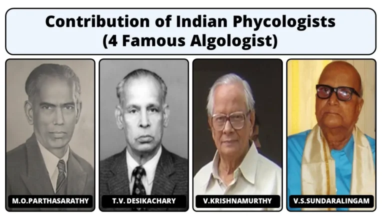 Contribution of Indian Phycologists