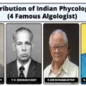 Contribution of Indian Phycologists