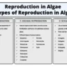 Reproduction in Algae