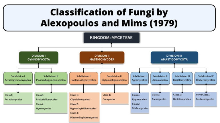 Classification of Fungi by Alexopoulos and Mims