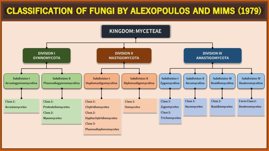 Classification of Fungi by Alexopoulos and Mims