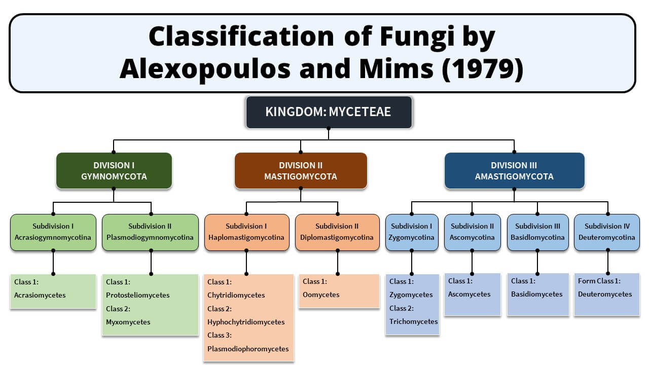 Classification of Fungi by Alexopoulos and Mims