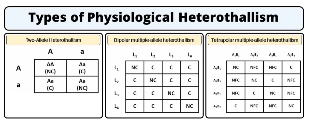 Types of Physiological Heterothallism