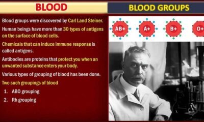 Blood Group: Definition, ABO and Rh Blood Group System