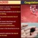 Blood Clotting: Mechanisms and Stages | Free Biology Notes