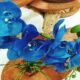 Blue Orchid