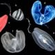 Ctenophora General Characteristics and Classification
