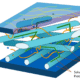 Cell Wall Structure and Function | Free Biology Notes