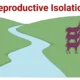 Reproductive Isolation Short Note | Evolution Class 12 Notes