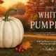 White Pumpkin
