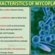 Structure of Mycoplasma | Free Biology Notes