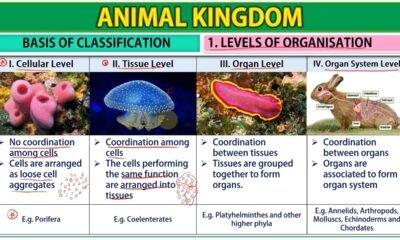6 Basis of Classification of Animal Kingdom | Free Biology Notes