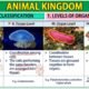 6 Basis of Classification of Animal Kingdom | Free Biology Notes