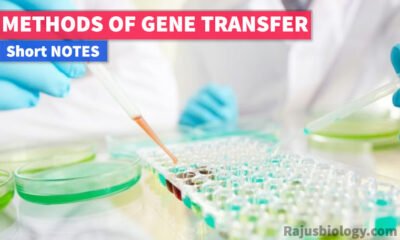 Methods of Gene Transfer Short Notes