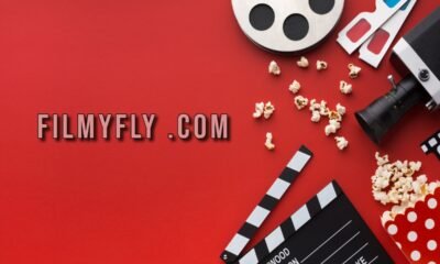 Filmyfly .com